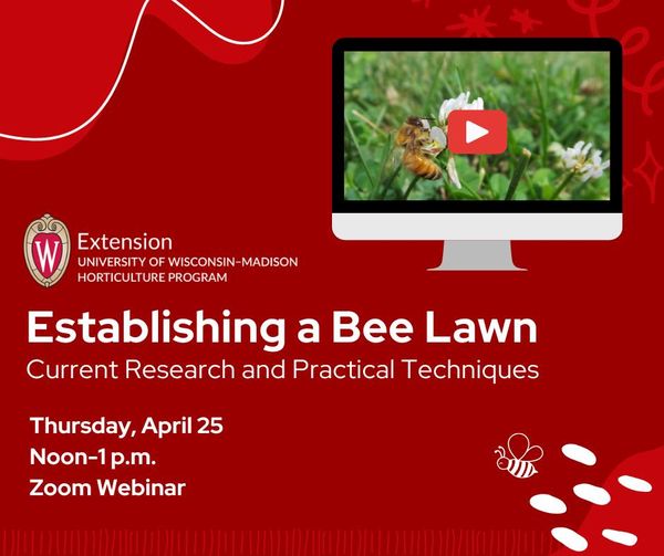 May be an image of grass and text that says 'Extension UNIVERSITY OF WISCONSIN-MADISON HORTICULTURE PROGRAM Establishing a Bee Lawn Current Research and Practical Techniques Thursday, April 25 Noon-1 p.m. Zoom Webinar'